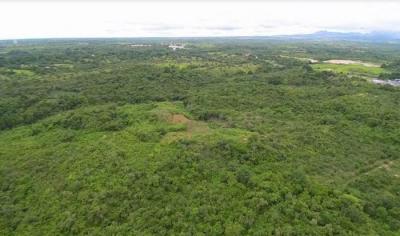 113683 - Provincia de Panamá - fincas