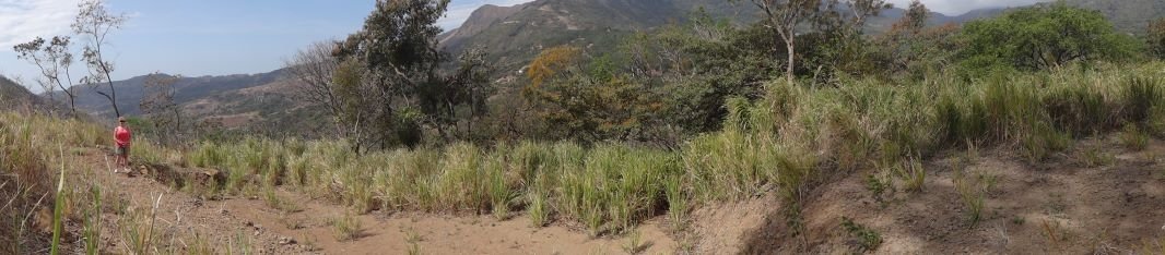 Lote espacioso