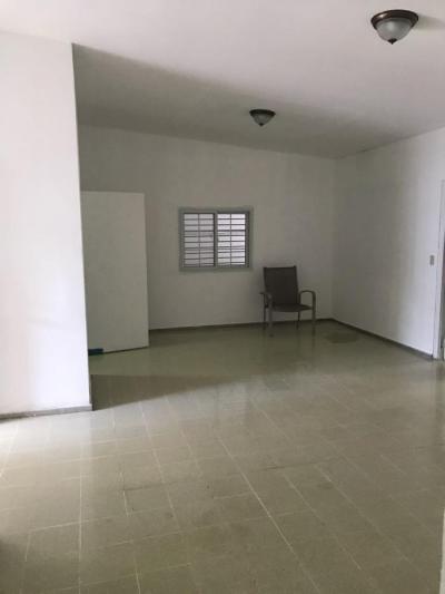 114434 - Hato pintado - properties