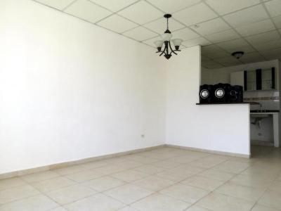 114505 - La Chorrera - propiedades