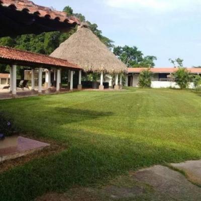 115481 - Cocle del norte - lots