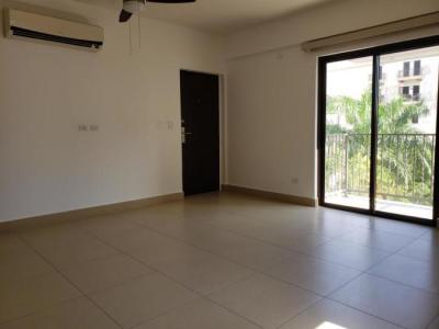 117213 - Albrook - apartamentos - embassy village