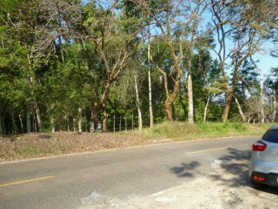 11726 - La Chorrera - fincas