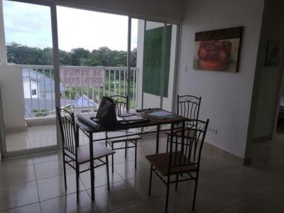 117719 - Vista alegre - apartamentos - playa dorada