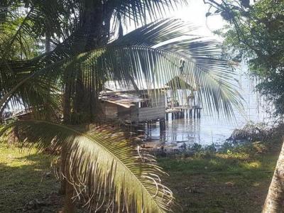 118598 - Bocas del Toro - properties