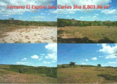 1201 - El espino - propiedades