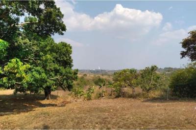 120588 - Antón - lots