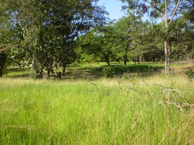 12236 - Boquerón - lotes