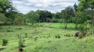 123161 - Bugaba - fincas
