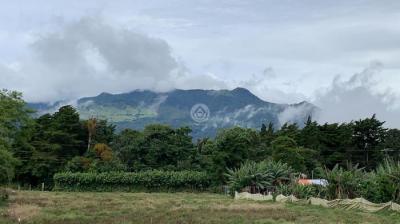 124101 - Palmira - boquete - fincas