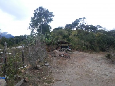 12420 - Boquete - farms