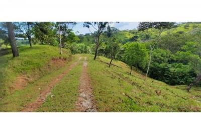 124607 - Chagres - lotes