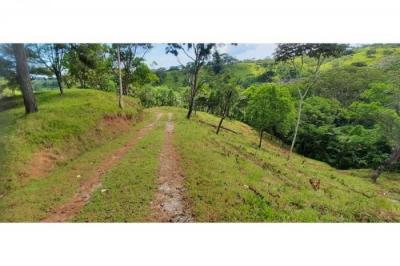 124607 - Chagres - lots