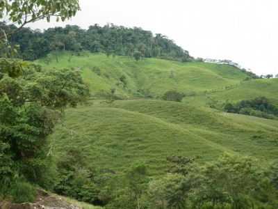 1253 - Boquerón - farms