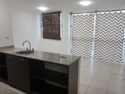 125313 - Tumba muerto - apartamentos - ph alsacia towers