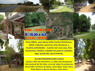 12546 - Penonomé - lots