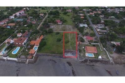 125973 - Nueva gorgona - lots