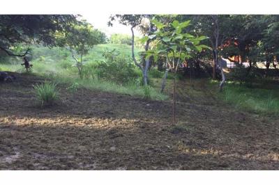 125994 - San carlos - lots