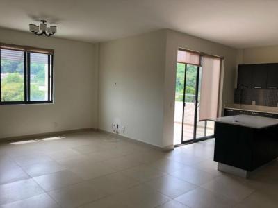 127340 - Panama pacifico - properties - river valley