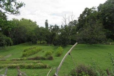 128089 - Antón - lots