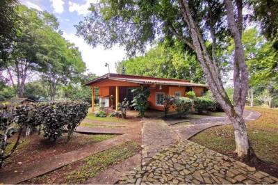 128195 - La Chorrera - lots