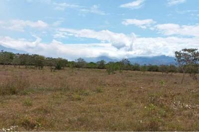 128500 - Potrerillos - propiedades