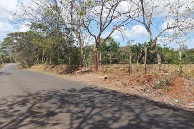 128736 - Herrera - la chorrera - properties