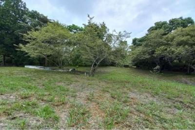 128774 - Rio hato - lots