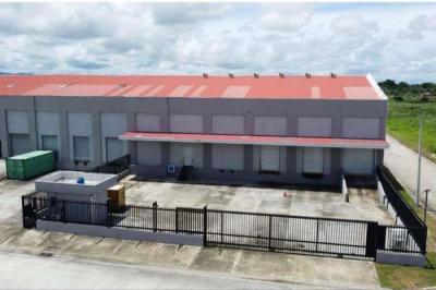 128819 - Pacora - warehouses - panapark free zone