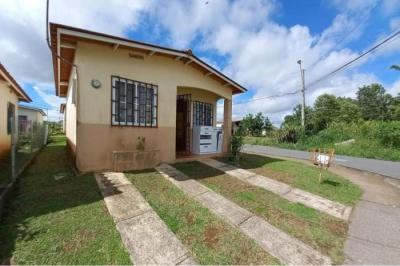 129146 - Herrera - la chorrera - properties