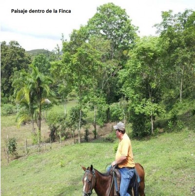 12931 - Ciudad de Panamá - farms