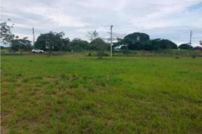 129475 - San carlos - lotes
