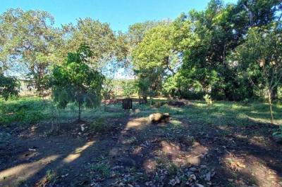 129965 - Chiriquí - properties