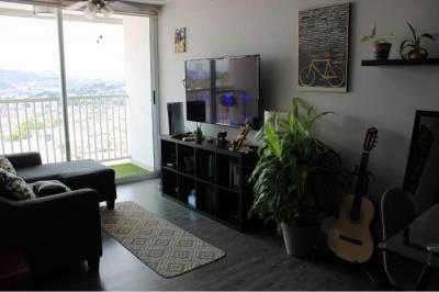 129991 - Via españa - apartamentos - ph alegria