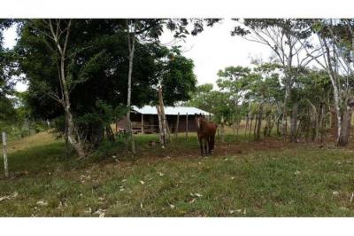 130036 - La Chorrera - lots