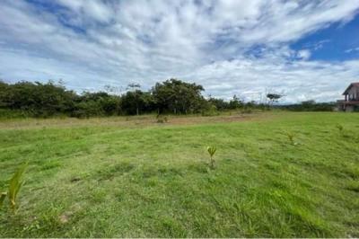 130197 - Chiriquí - lotes