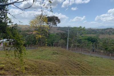 130567 - La Chorrera - lotes