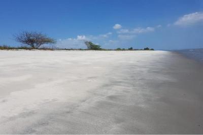 131595 - Punta chame - lotes