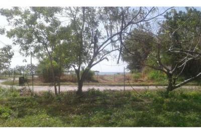 131884 - Playa malibu - lotes