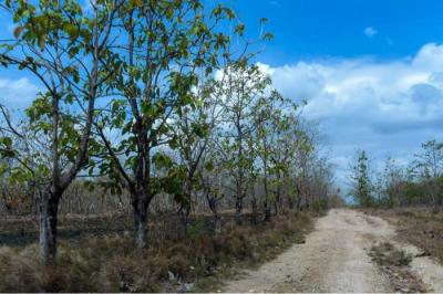 132223 - Rio hato - properties