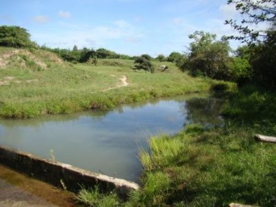 1326 - Rio hato - lotes