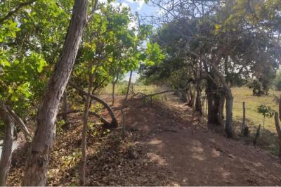 133590 - El roble - lots