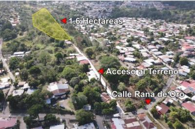 133646 - Pedregal - lots