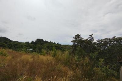 133861 - Los llanitos - lotes
