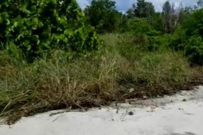 134710 - Punta chame - properties