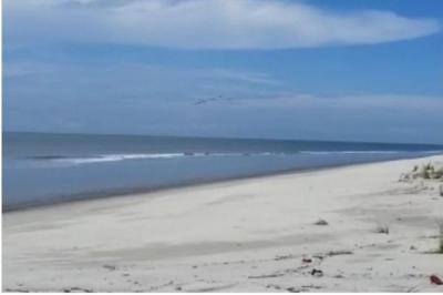 134771 - Punta chame - properties