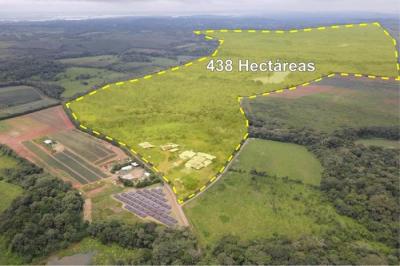 135238 - La Chorrera - properties