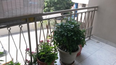 13572 - Hato pintado - apartamentos