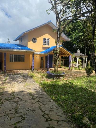 135905 - Cerro azul - casas