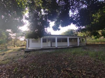 135992 - Las Tablas - houses